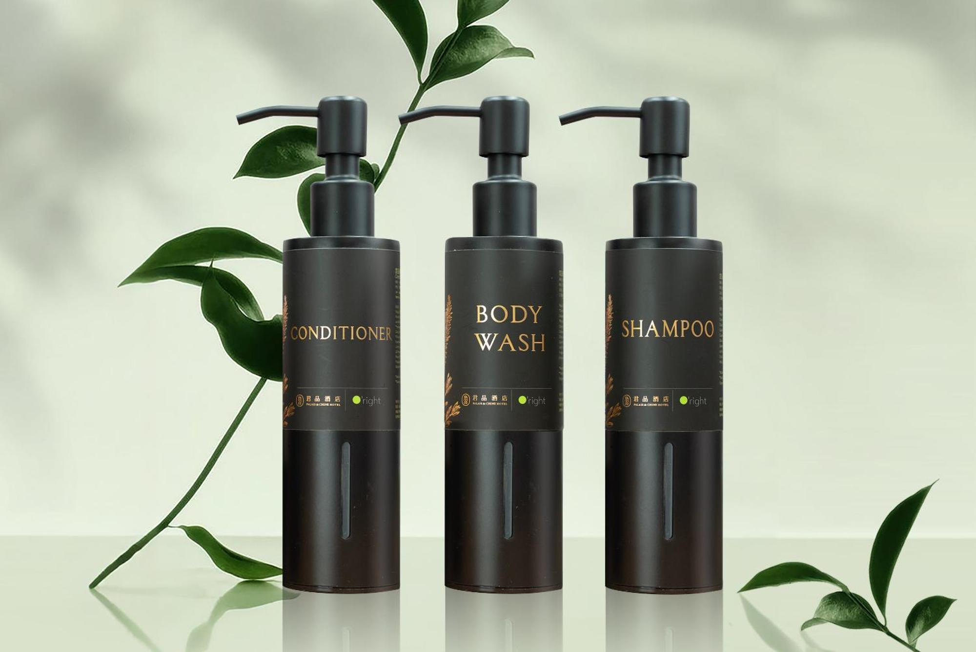فندق باليه دو شاين تايبيه المظهر الخارجي الصورة Body wash, shampoo and conditioner